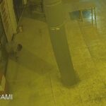 adanada 17 gun arayla 2 is yerinden hirsizlik yapan supheli yakalandi 1f2e2f388c78