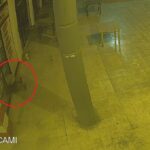 adanada 17 gun arayla 2 is yerinden hirsizlik yapan supheli yakalandi f30d2d63b611