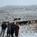 adananin yuksek kesimlerine kar yagdi yaylada mahsur kalan kadini komsulari kurtardi d7e56cda5590