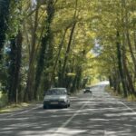agac tunel yolda gorsel solen 84d5a6d0ea30