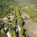 agac tunel yolda gorsel solen ed7c79aaa073