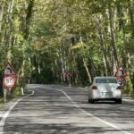 agac tunel yolda gorsel solen f22dc94f96c9