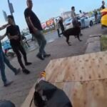 agizliksiz dolastirilan kopegin 2 kisiyi yaraladigi anlar kamerada 0531e364edd6