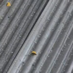 Ankara'da Yağmur ve Dolu Etkili Oluyor, Vatandaşlara Uyarı Yapıldı 2 ankarada 2 ilcede dolu yagdi 21b2c3a59a70