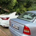 antalyada agac 5 otomobilin uzerine devrlidi 8fe305c80768