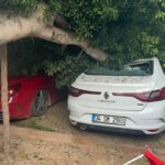 antalyada agac 5 otomobilin uzerine devrlidi 9ea256466e78