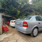 antalyada agac 5 otomobilin uzerine devrlidi cc42ea326826