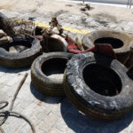 antalyada deniz copleri seferberligi 0fbd037d4f2b