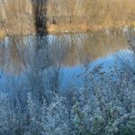 Ardahan'da gece sıcaklık eksi 10 dereceyi gördü, araçlar ve bitkiler buzla kaplandı 2 ardahanda hava eksi 10 dereceye dustu kiragi olustu video eklendi 29fe7e6237b4