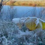 Ardahan'da gece sıcaklık eksi 10 dereceyi gördü, araçlar ve bitkiler buzla kaplandı 3 ardahanda hava eksi 10 dereceye dustu kiragi olustu video eklendi 7a371cf822da