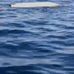 artvinde balikcilar insansiz deniz araci buldu ozel ekip inceleyecek 3c91e5a40a14