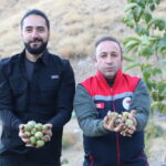 babasindan kalan ceviz bahcesinden 8 ton urun aldi 0e24199dcdab