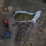 babasindan kalan ceviz bahcesinden 8 ton urun aldi 5d36f6d75bf8