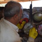 babasinin yaptigi kara kovan ariciligini zorlu arazi kosullarinda 35 yildir surduruyor 01acae551d0d