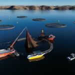 Mersin Balığı Üretim Tesislerine Bakan Yumaklı'dan Ziyaret 4 bakan yumakli kovan varliginda 3uncu sirada bal uretiminde 2nci siradayiz 3 4706fd5f6c63