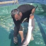 bartin aciklarinda balikcilarin agina kopek baligi takildi video eklendi 1c2771bbb7b2