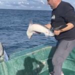 bartin aciklarinda balikcilarin agina kopek baligi takildi video eklendi 2424497eef26