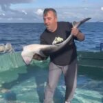 bartin aciklarinda balikcilarin agina kopek baligi takildi video eklendi a2ab9fa11acb