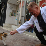 bilincsiz ilac tuketimi hayvanlarinizin canina mal olabilir 06e8cdb73c70