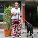 bilincsiz ilac tuketimi hayvanlarinizin canina mal olabilir dd803980dcc0