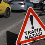 bingolde otomobilin carpmasiyla olen berra icin yolu kapattilar 23dc4cab431f