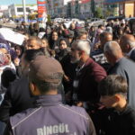 bingolde otomobilin carpmasiyla olen berra icin yolu kapattilar 4c96df507a98