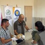 bitkin halde bulunan yavru baykuslar tedavinin ardindan dogaya salindi e1dcda20f284