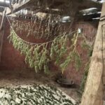 bursada 9 kilo 400 gram esrar ele gecirildi 1 gozalti acc0f52ff07e
