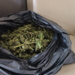 bursada guvercin kumesine gizlenmis uyusturucu ele gecirildi 31dd6ecf424e