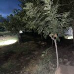 cami bahcesine gomulmus bebek cesedi bulundu 9ae3b25bcdda