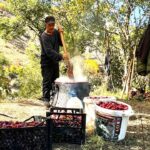 cancur eriginde hasat festival ile basladi 7ab177a907ca