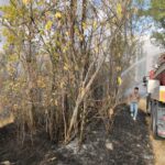 cankirida bahcelik alanda cikan yangin sonduruldu 0eba26050092