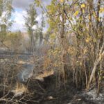 cankirida bahcelik alanda cikan yangin sonduruldu e16928a0e9d8