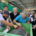Muğla'da Tedavi Edilen Caretta Caretta 'Cumhuriyet', 1 Yılda 6 Bin Kilometre Yol Aldı 2 caretta caretta cumhuriyeti 5 bin kisi izledi ff856a8d5ded