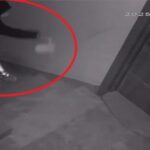 dairesinin onune hayvan diskisi atan komsusundan bu kez yuzune kapi carptigi icin sikayetci oldu 6e4d0257b348