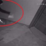 dairesinin onune hayvan diskisi atan komsusundan bu kez yuzune kapi carptigi icin sikayetci oldu 9f82c3e7825c