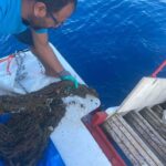 datcada deniz dibindeki hayalet aglar cikarildi 447fd99f21cf