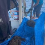 datcada deniz dibindeki hayalet aglar cikarildi 78444a8fc54f