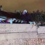 denizlide tek katli evin tavani coktu 6 yarali 0fbb37cc1172