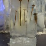 dev buz kaliplarina islenen erzurum kulturu ata buz muzesinde sergileniyor e021234b5861