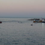 Doğu Karadeniz’de Sumud filosuna destek 1 dogu karadenizde sumud filosuna destek 0f8e27c83401