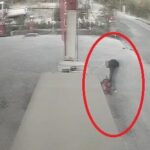 Baskil'de Eniştesine Çarpan Şahıs Tutuklandı 5 enistesine aracla carpip kacti o anlar kamerada video eklendi 4f8d8afed084