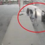 Baskil'de Eniştesine Çarpan Şahıs Tutuklandı 6 enistesine aracla carpip kacti o anlar kamerada video eklendi 6bd483435463