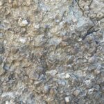 erzurumda 200 milyon yillik deniz fosilleri bulundu fb9e94bc2d84