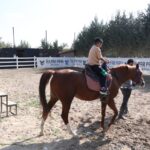 Eskişehir'de Dilencilikten Kurtarılan 176 Çocuk Yeniden Eğitime Kazandırıldı 8 eskisehirde sokakta dilenen 176 cocuk yeniden egitime kazandirildi video eklendi 3c73bd140413