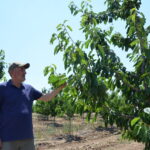 Eskişehir'deki çiftçilere 55 milyon lira don zararı desteği verildi 2 eskisehirde zirai dondan etkilenen 606 ciftciye 55 milyon lira yardim 154ad9e60a3d