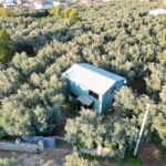 evinin pencerelerini 3 bin yillik zeytin agacini gorup gune baslayacak sekilde tasarladi 439cf6896379