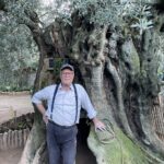 evinin pencerelerini 3 bin yillik zeytin agacini gorup gune baslayacak sekilde tasarladi 8dfcfa1a318f