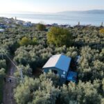 evinin pencerelerini 3 bin yillik zeytin agacini gorup gune baslayacak sekilde tasarladi bffa34bc60d7