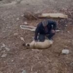 fenalasan kopegi kalp masaji yaparak kurtardi o anlar kamerada 2e97623571cf